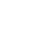 NinjaTrader Live