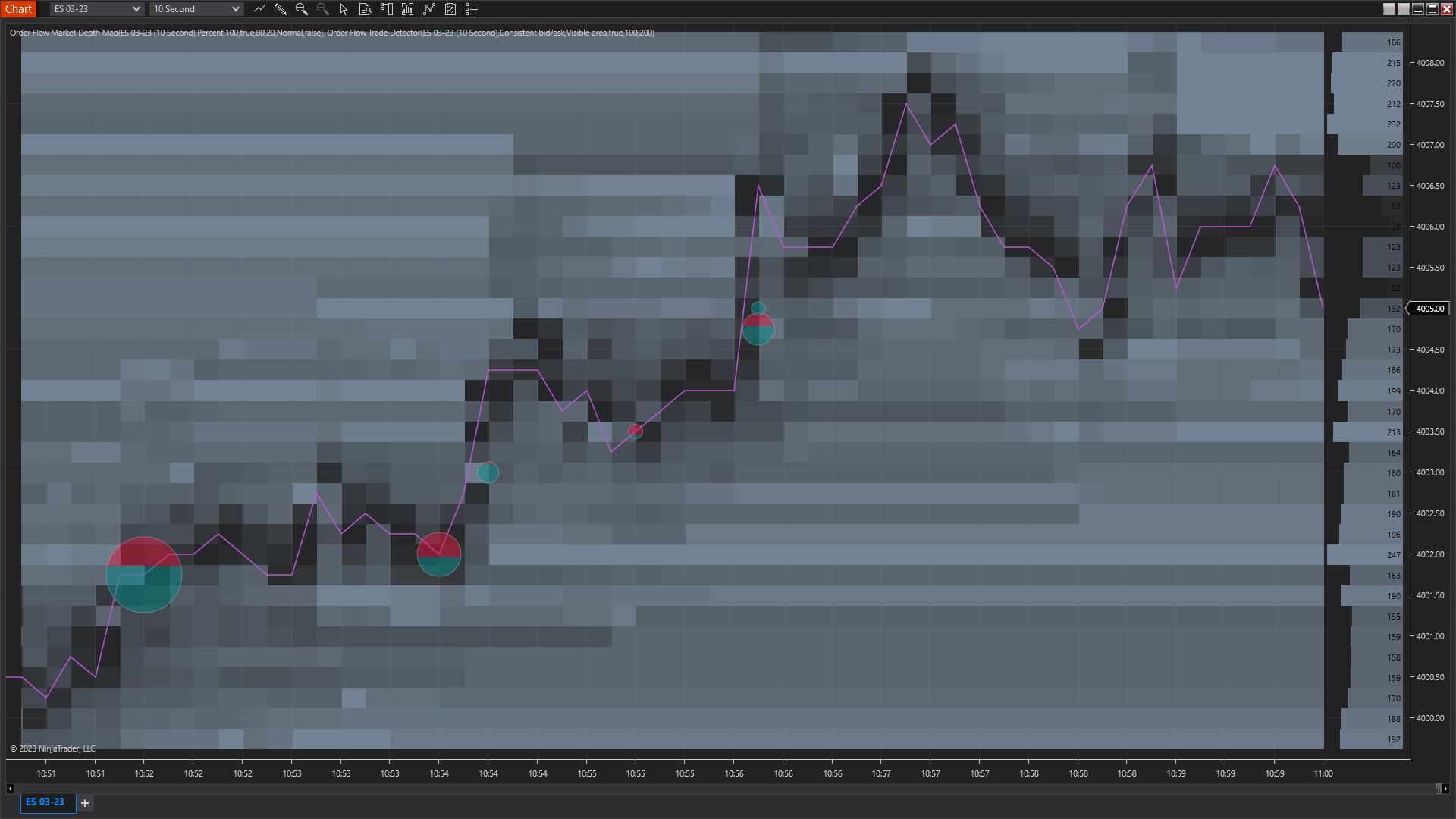 NinjaTrader order flow market depth map