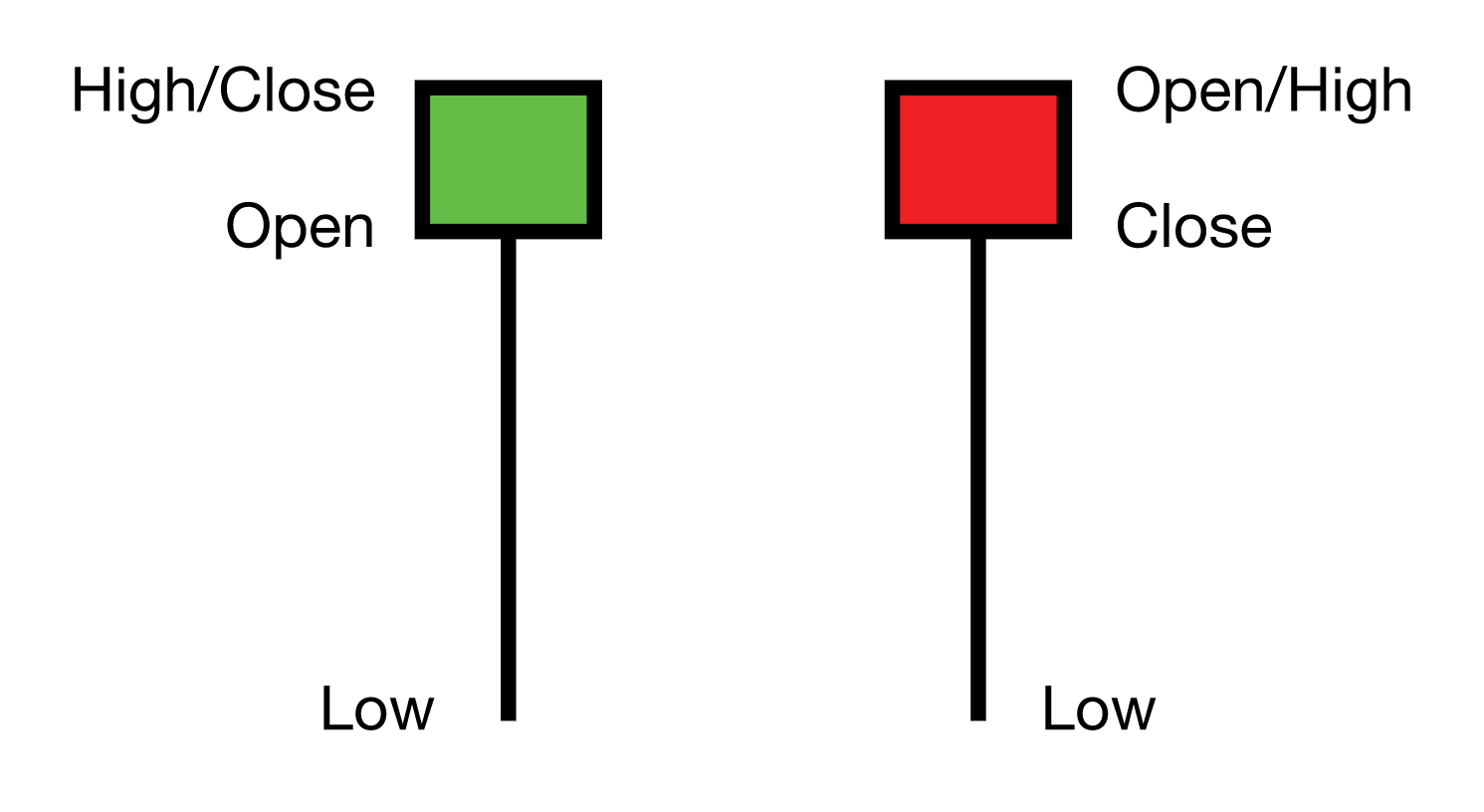 bullish-hammer-image.png